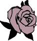 Rose Button